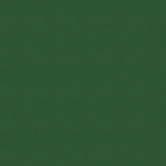 NICHOLASJOHN INC NJ-WINDOO Green Solid   Fabric - NJ25-3742