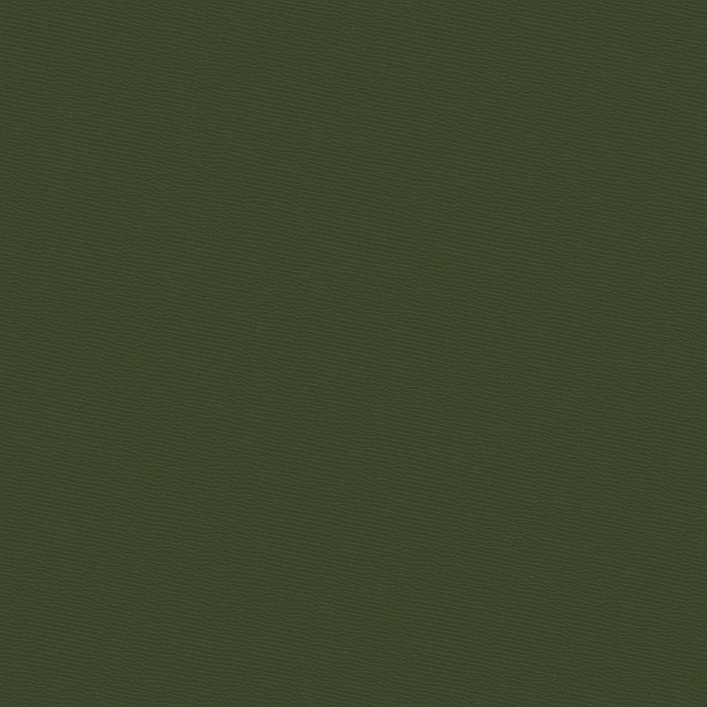 NICHOLASJOHN INC NJ-FORD Green Solid   Fabric - NJ25-2550