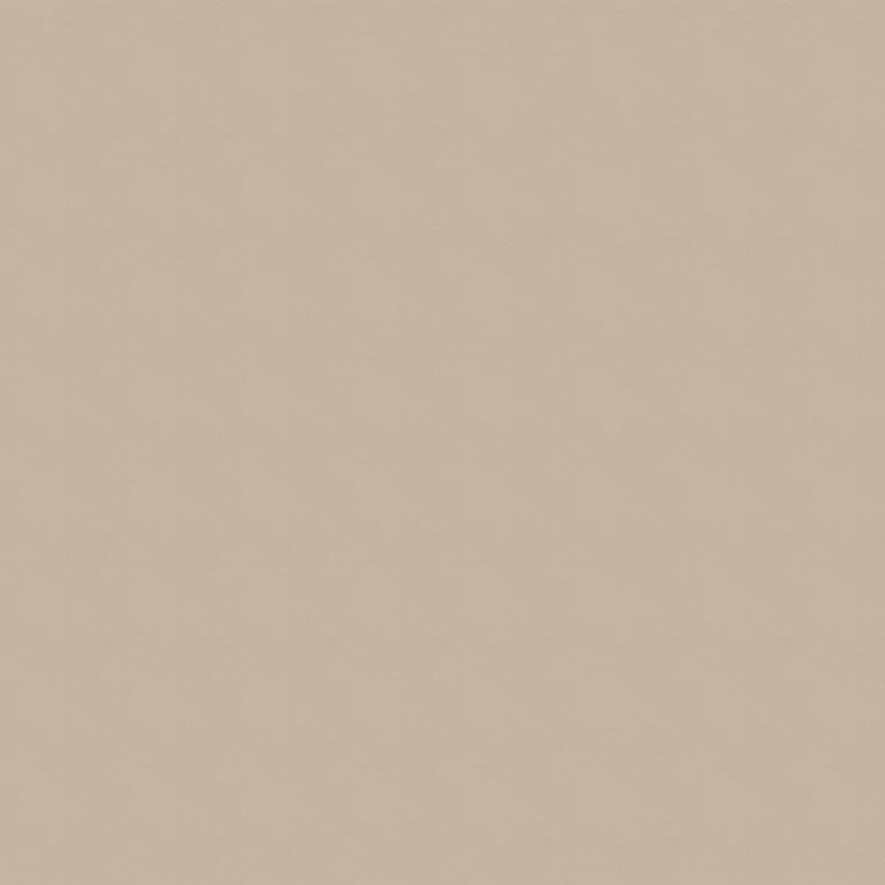 NICHOLASJOHN INC NJ-NAU Taupe Solid   Fabric - NJ25-2375