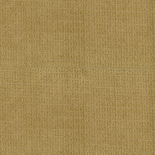 NICHOLASJOHN INC NJ-VEZINA Marigold Solid   Fabric - NJ25-1982