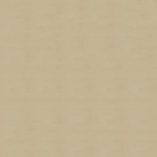 NICHOLASJOHN INC NJ-LOUIE Beige Solid   Fabric - NJ25-181