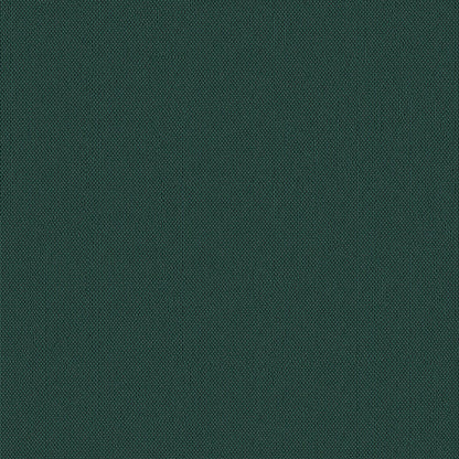 NICHOLASJOHN INC NJ-TNOCHES Green Solid   Fabric - NJ25-3397