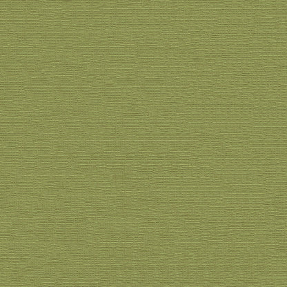 NICHOLASJOHN INC NJ-DEVINE Chartreuse Solid,Texture   Fabric - NJ25-1566