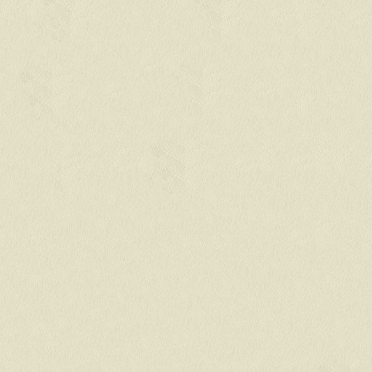 NICHOLASJOHN INC NJ-CAPO White Solid   Fabric - NJ25-476