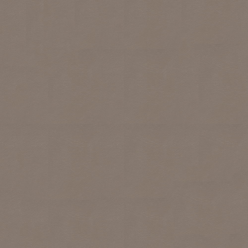 NICHOLASJOHN INC NJ-NAU Brown    Fabric - NJ25-2397