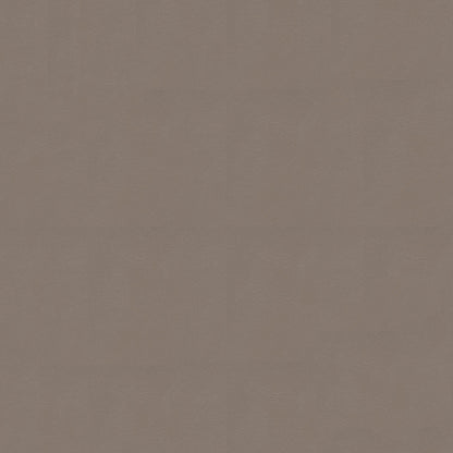 NICHOLASJOHN INC NJ-NAU Brown    Fabric - NJ25-2397