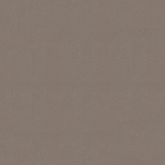 NICHOLASJOHN INC NJ-NAU Brown    Fabric - NJ25-2397