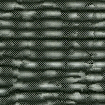 Black mesh fabric with a net-like weave.