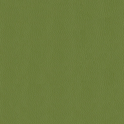 NICHOLASJOHN INC NJ-KENDRICK Sprig Solid,Texture   Fabric - NJ25-2686