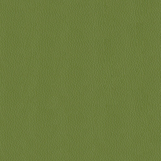 NICHOLASJOHN INC NJ-KENDRICK Sprig Solid,Texture   Fabric - NJ25-2686