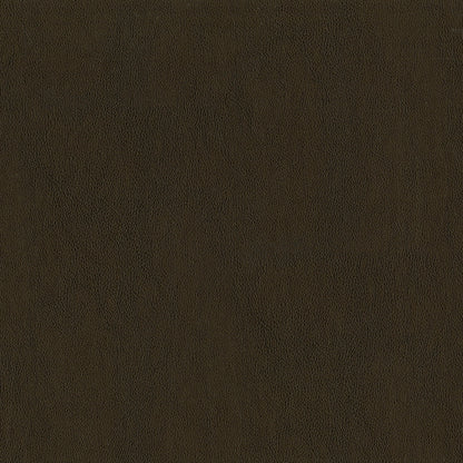 NICHOLASJOHN INC NJ-SENTRY Tobacco Solid,Texture   Fabric - NJ25-596