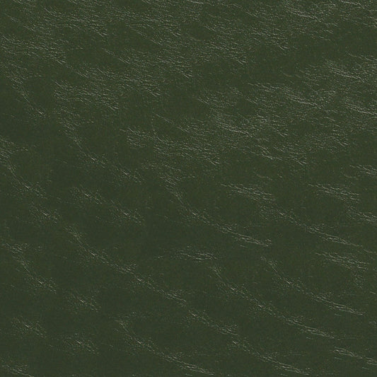 NICHOLASJOHN INC NJ-TOM Green Distressed,Rustic,Solid,Texture   Fabric - NJ25-1415