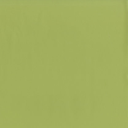 NICHOLASJOHN INC NJ-SENTRY Meadow Solid,Texture   Fabric - NJ25-571