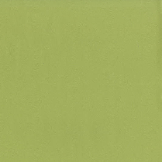 NICHOLASJOHN INC NJ-SENTRY Meadow Solid,Texture   Fabric - NJ25-571