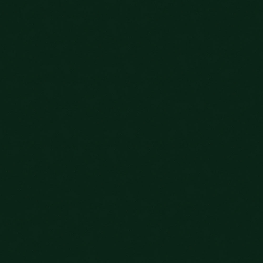 NICHOLASJOHN INC NJ-ENGLIS Green Solid,Patent   Fabric - NJ25-1158