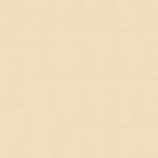 NICHOLASJOHN INC NJ-NAU Beige    Fabric - NJ25-2394