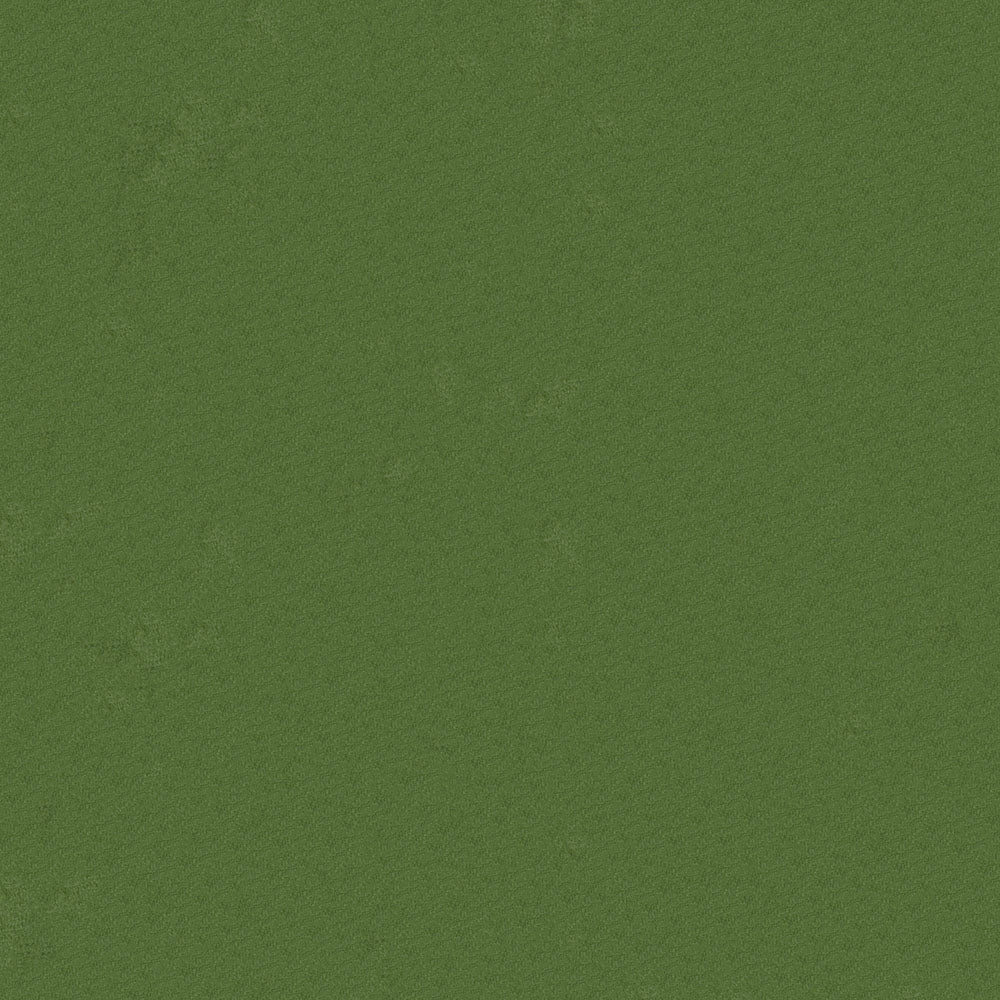 NICHOLASJOHN INC NJ-BENJAMIN Lima Solid   Fabric - NJ25-1316