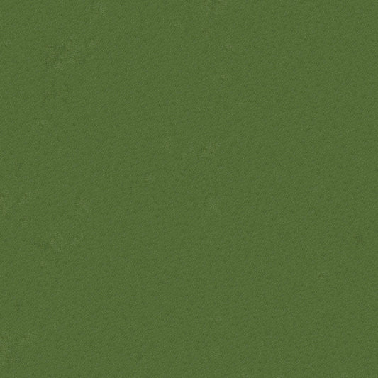 NICHOLASJOHN INC NJ-BENJAMIN Lima Solid   Fabric - NJ25-1316