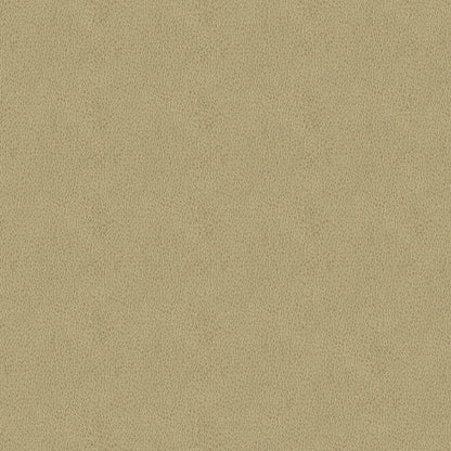 NICHOLASJOHN INC NJ-BALDWIN Beige Solid   Fabric - NJ25-633