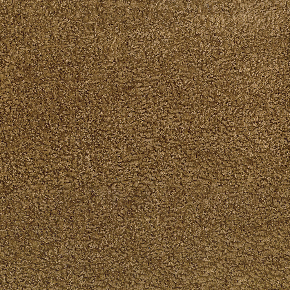 NICHOLASJOHN INC NJ-SPARKLE Camel    Fabric - NJ25-3864
