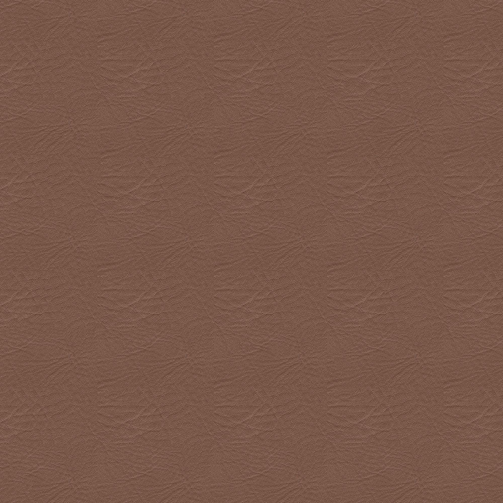 NICHOLASJOHN INC NJ-BREZ Brown Solid   Fabric - NJ25-2889