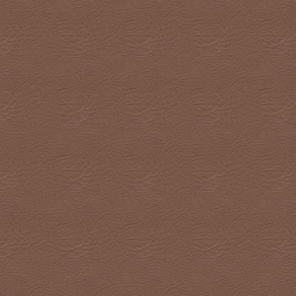 NICHOLASJOHN INC NJ-BREZ Brown Solid   Fabric - NJ25-2889