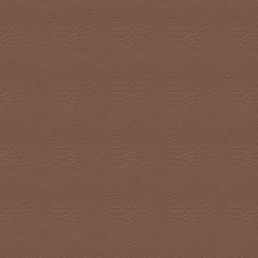 NICHOLASJOHN INC NJ-BREZ Brown Solid   Fabric - NJ25-2889
