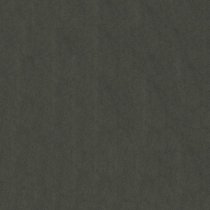 NICHOLASJOHN INC NJ-BALDWIN Gunmetal Solid   Fabric - NJ25-642