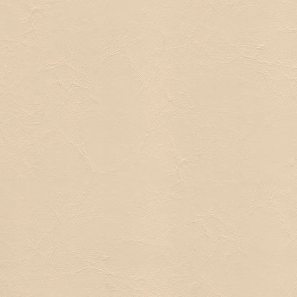 NICHOLASJOHN INC NJ-ARCHEE Ivory Solid   Fabric - NJ25-85