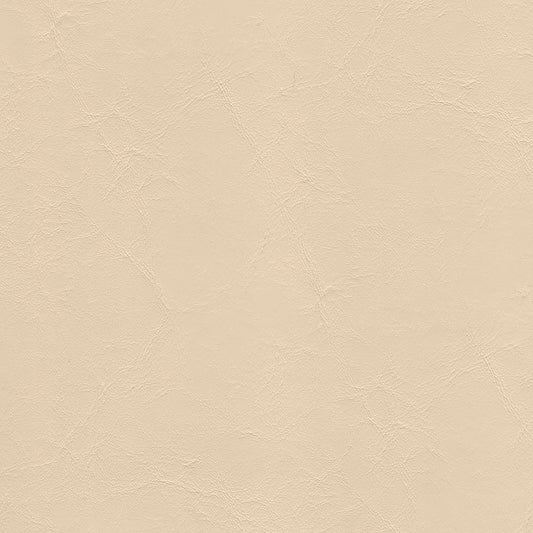 NICHOLASJOHN INC NJ-ARCHEE Ivory Solid   Fabric - NJ25-85