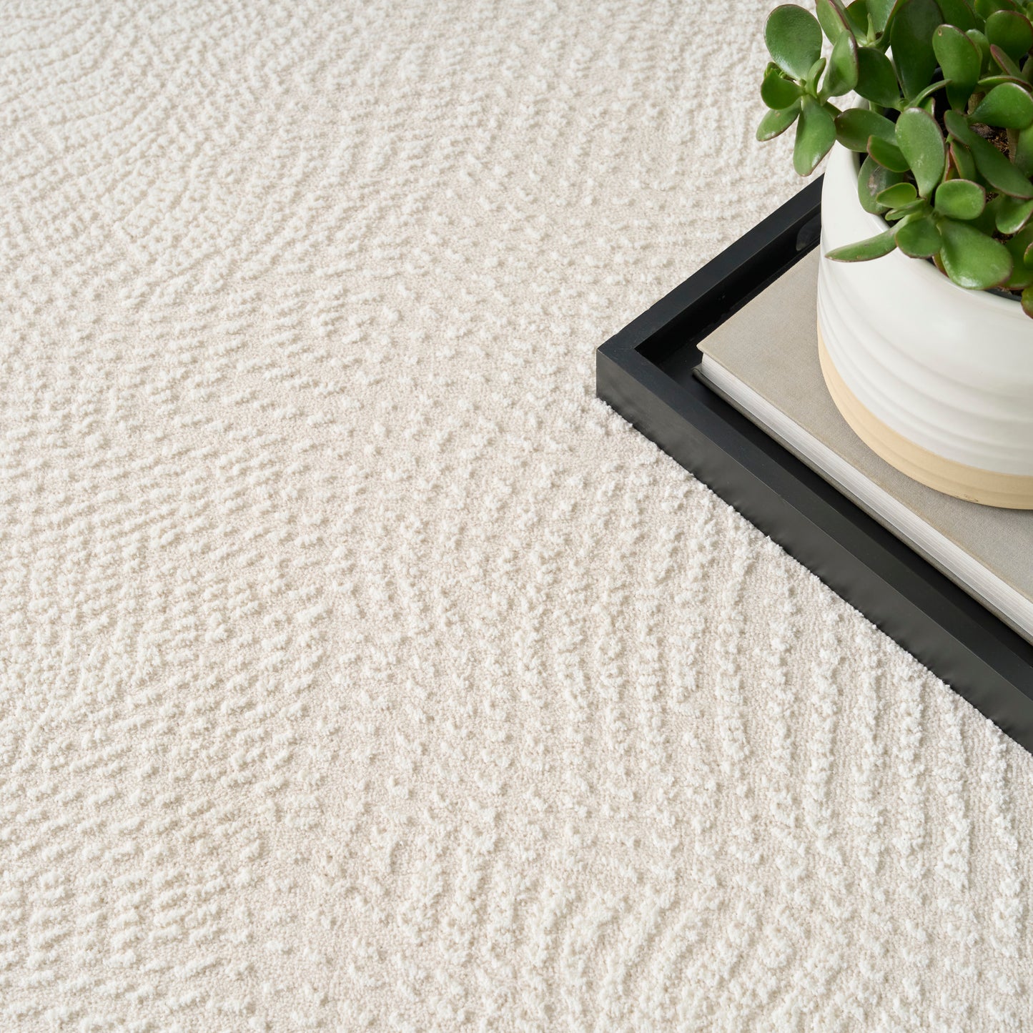 Beige textured area rug with a subtle wavy pattern; a black-framed tray holds a white pot with a green succulent.