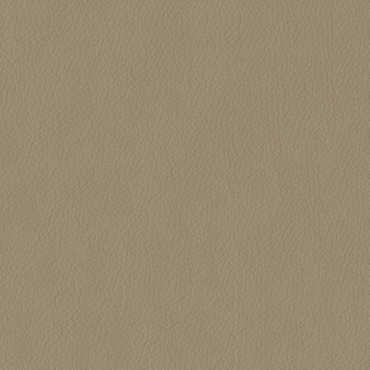 NICHOLASJOHN INC NJ-KENDRICK Taupe Solid,Texture   Fabric - NJ25-2693
