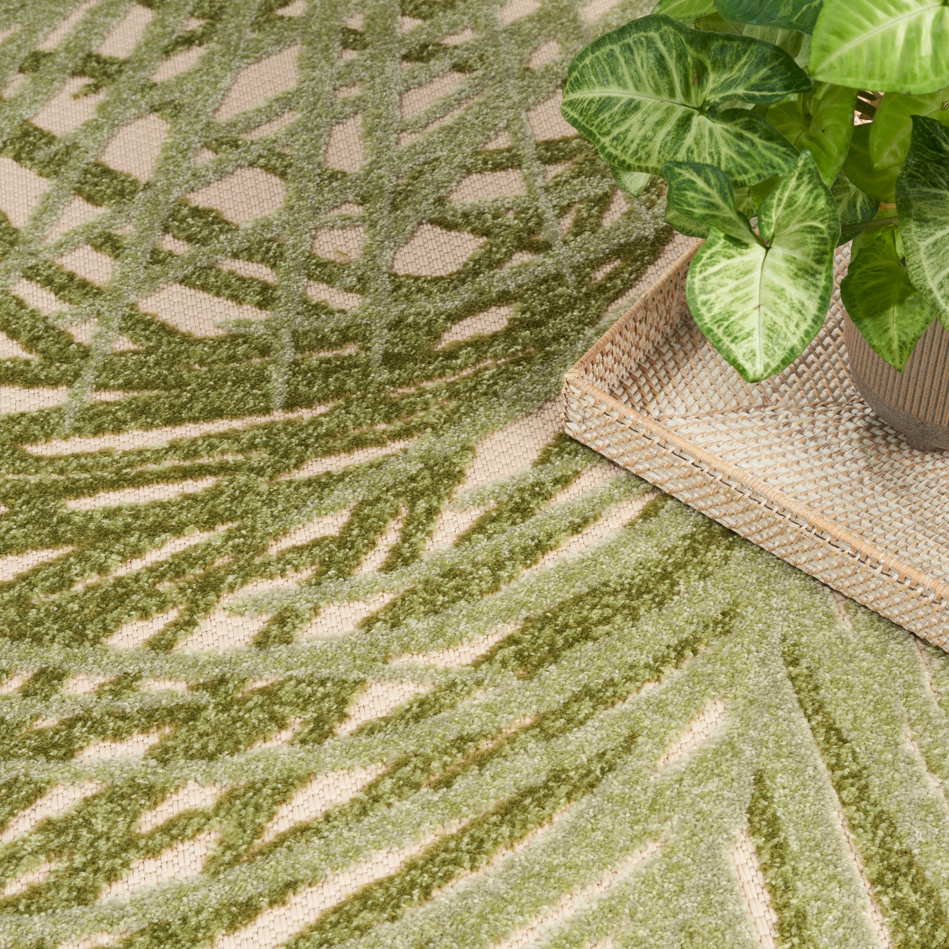 Green abstract leaf-pattern rug with textured weave, paired with a potted plant on a wicker tray.