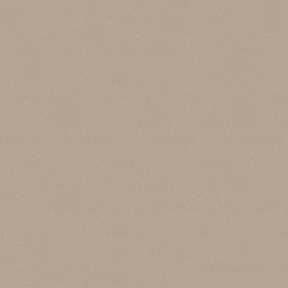 NICHOLASJOHN INC NJ-NAU Beige    Fabric - NJ25-2396