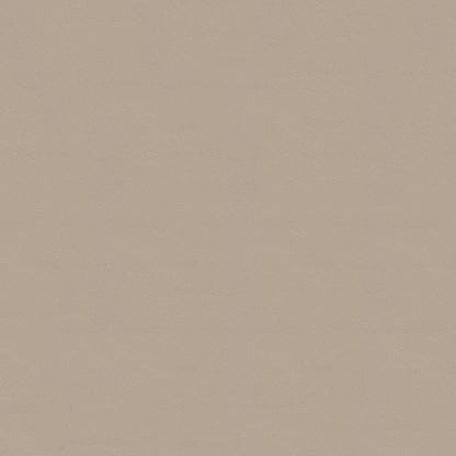 NICHOLASJOHN INC NJ-NAU Beige    Fabric - NJ25-2396