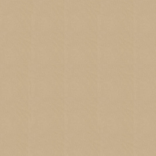 NICHOLASJOHN INC NJ-SHH Beige Solid   Fabric - NJ25-3692