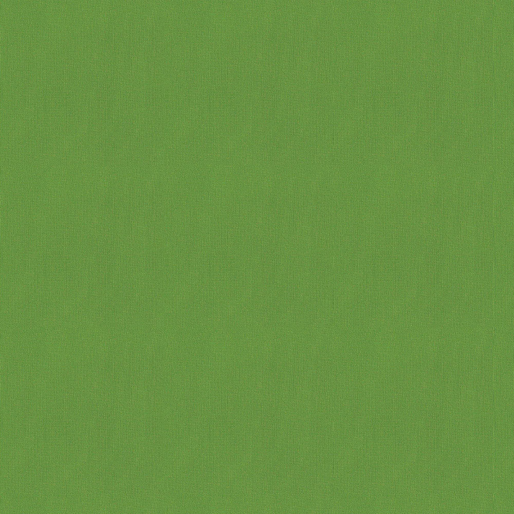 NICHOLASJOHN INC NJ-FOX Green Contemporary,Texture,Basketweave   Fabric - NJ25-3042