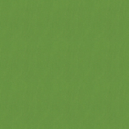 NICHOLASJOHN INC NJ-FOX Green Contemporary,Texture,Basketweave   Fabric - NJ25-3042