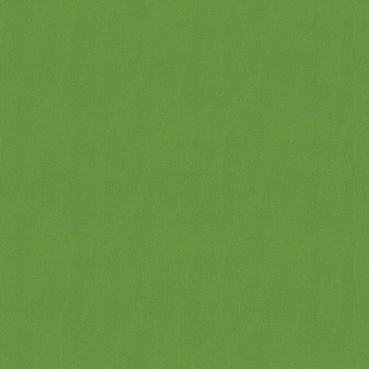 NICHOLASJOHN INC NJ-FOX Green Contemporary,Texture,Basketweave   Fabric - NJ25-3042