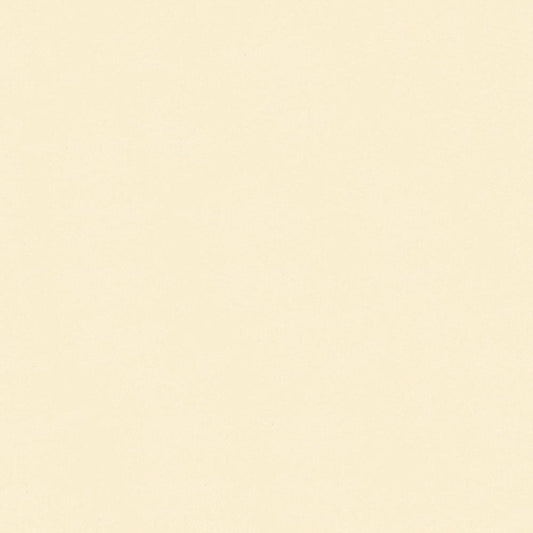 NICHOLASJOHN INC NJ-HOCK White Solid   Fabric - NJ25-1780