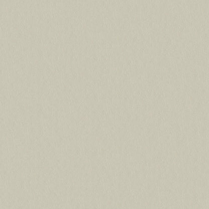 NICHOLASJOHN INC NJ-CAPO Beige Solid   Fabric - NJ25-478