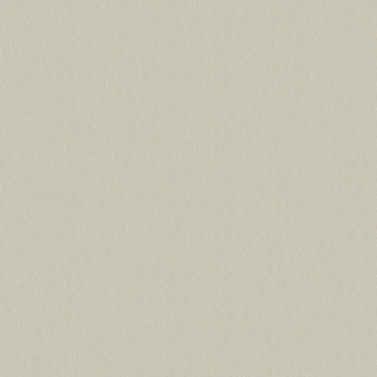 NICHOLASJOHN INC NJ-CAPO Beige Solid   Fabric - NJ25-478