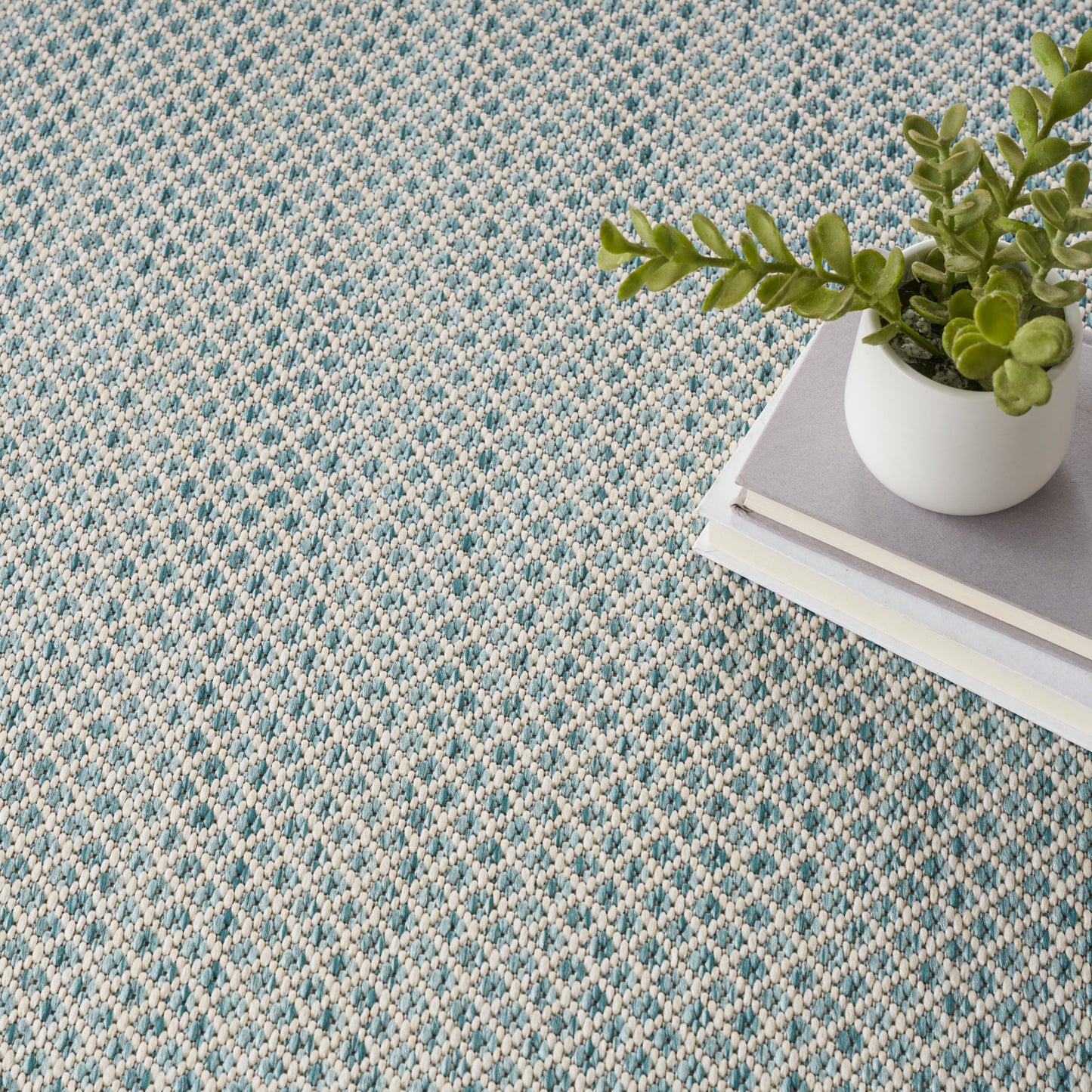 Blue and beige woven textured rug with a white planter holding a succulent atop a stack of books.