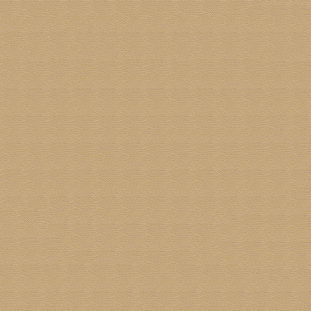 NICHOLASJOHN INC NJ-TOPFR Brown Solid   Fabric - NJ25-3354