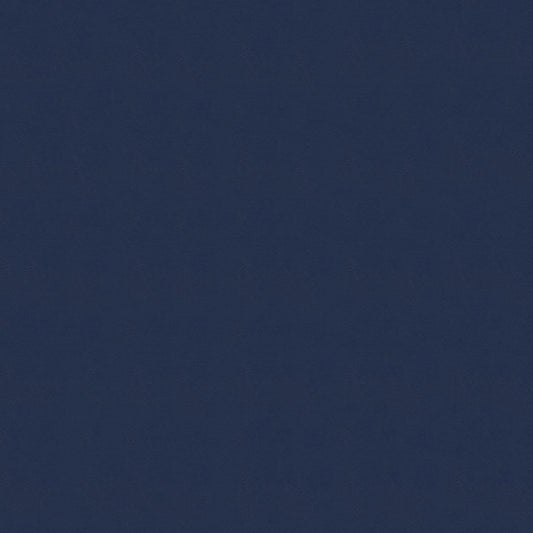 NICHOLASJOHN INC NJ-WINDOO Blue Solid   Fabric - NJ25-3755