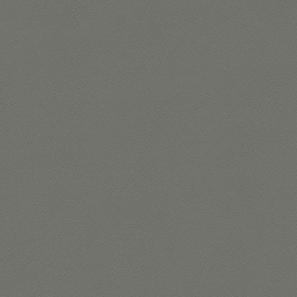 NICHOLASJOHN INC NJ-CHAM Gray Solid   Fabric - NJ25-608
