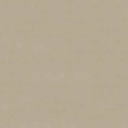 NICHOLASJOHN INC NJ-LOUIE Beige Solid   Fabric - NJ25-182