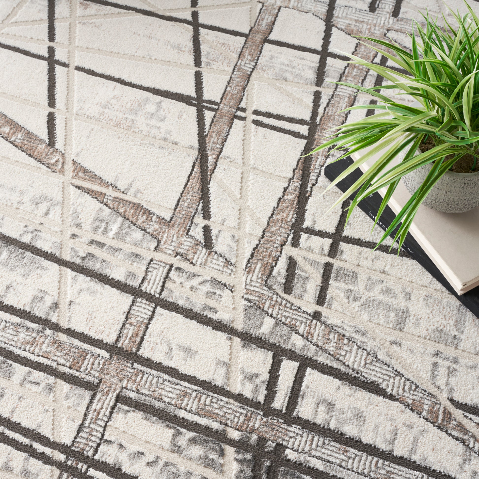 Abstract beige area rug with intersecting brown and black lines; plant pot and stack of books visible on edge.