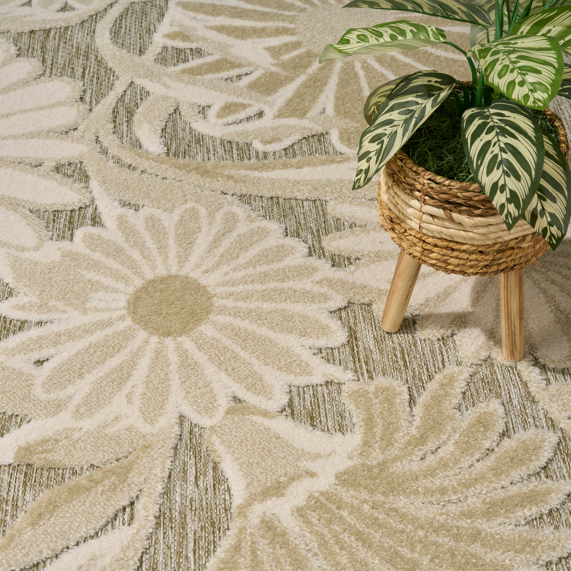Beige shag rug with large white daisy floral pattern; potted green variegated plant in a woven rattan basket on wooden legs.