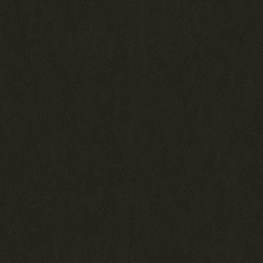 NICHOLASJOHN INC NJ-SENTRY Chocolate Solid,Texture   Fabric - NJ25-592